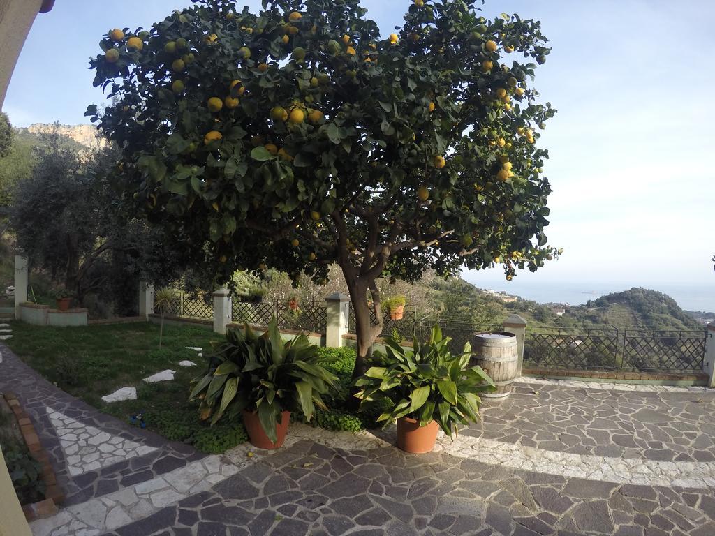 Appartamenti Con Vista Panoramica Santa Maria Navarrese Dış mekan fotoğraf